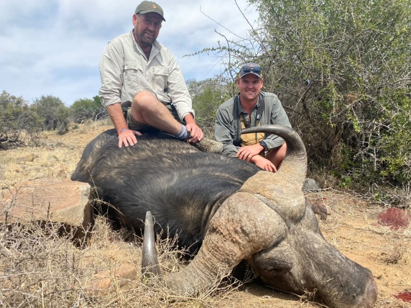 Two men pose with a hunted Cape buffalo.