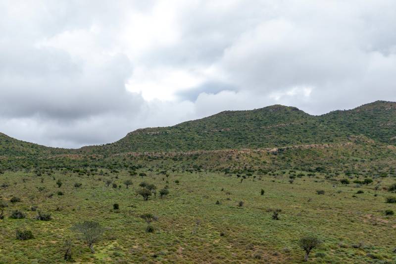 Green hillside landscape under cloudy sky