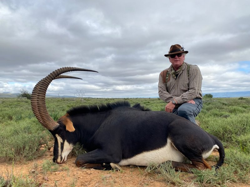 Hunter poses beside harvested sable antelope in grassy landscape.