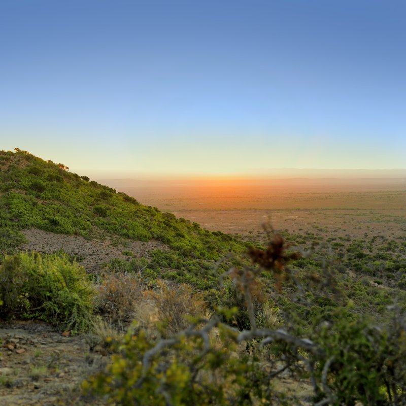 Green hillside overlooking a sunlit desert plain at sunset