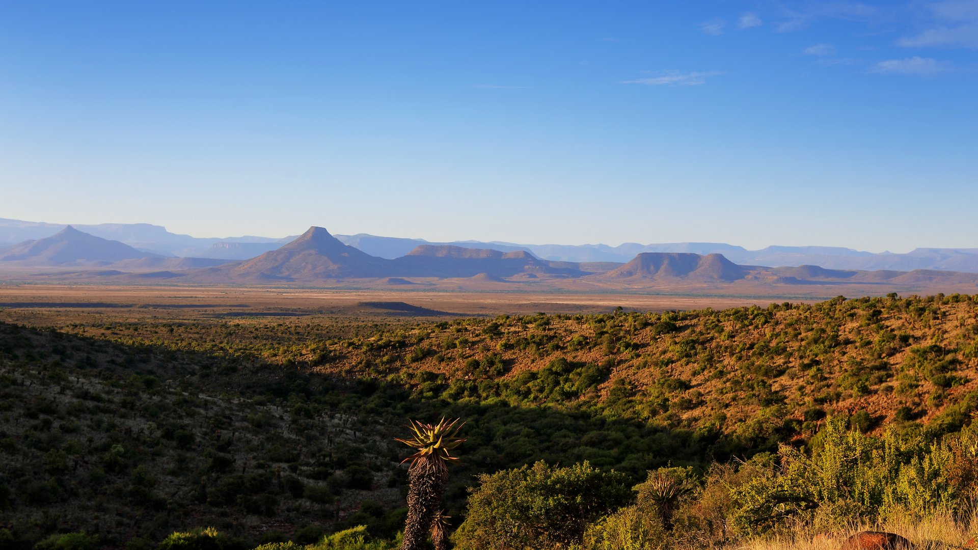 Sunlit desert valley with mountains and aloe plants