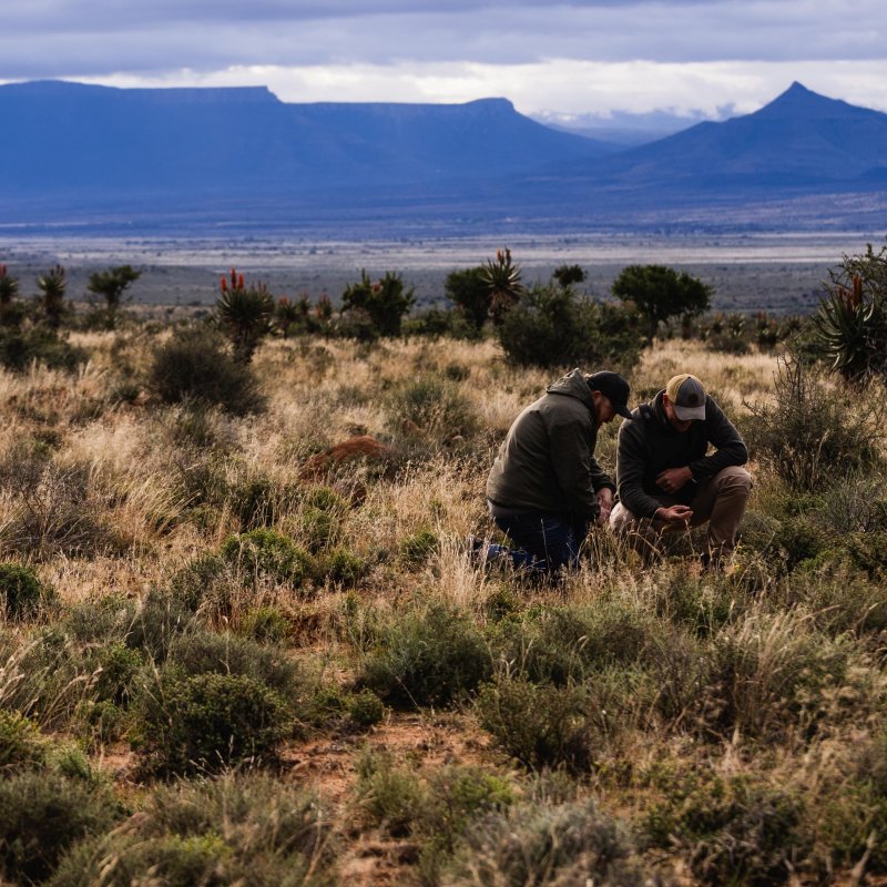 Two people examining plants in a mountain grassland