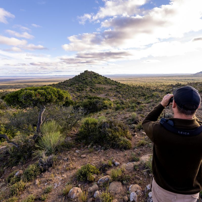 Man using binoculars overlooks rocky hill and expansive savanna