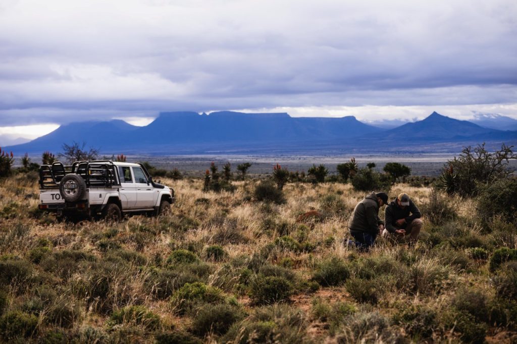 Two people beside pickup truck in mountainous grassland